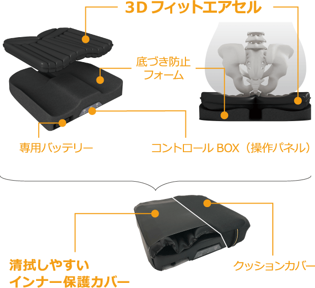 内部構造の図