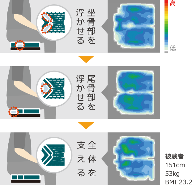 被験者:151cm・50kg・BMI 21.9