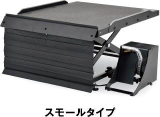 スモールタイプ