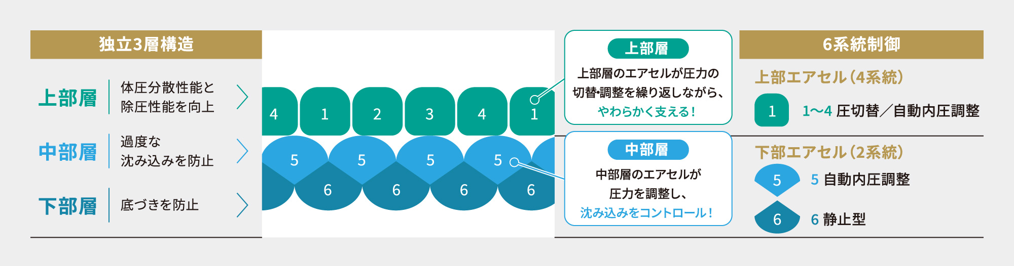 アクシオ エアセル構造