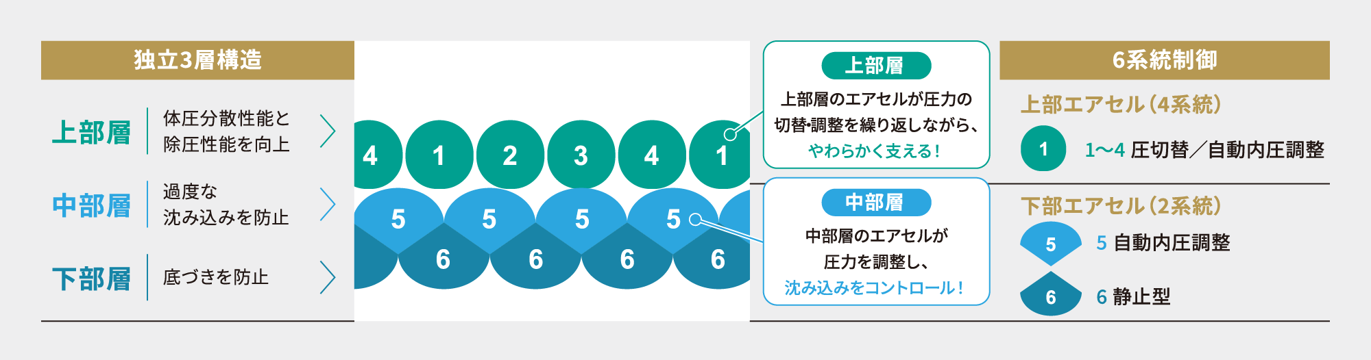 アクシオ エアセル構造
