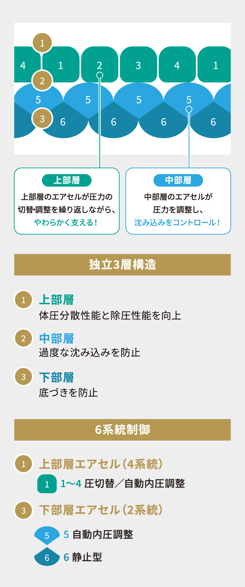 アクシオ エアセル構造