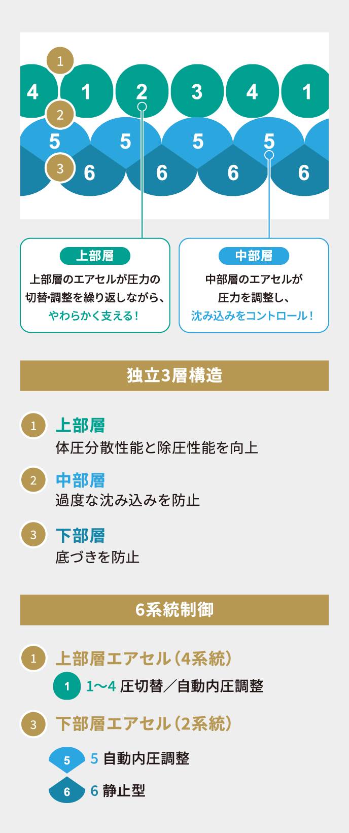 アクシオ エアセル構造