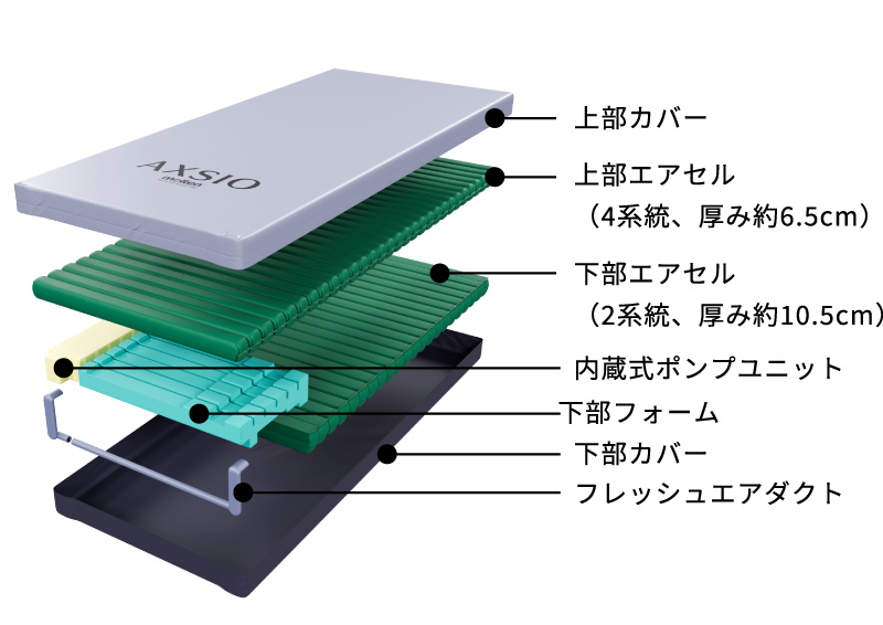 アクシオ基本構造