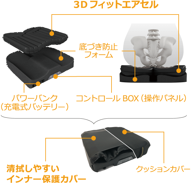 内部構造の図